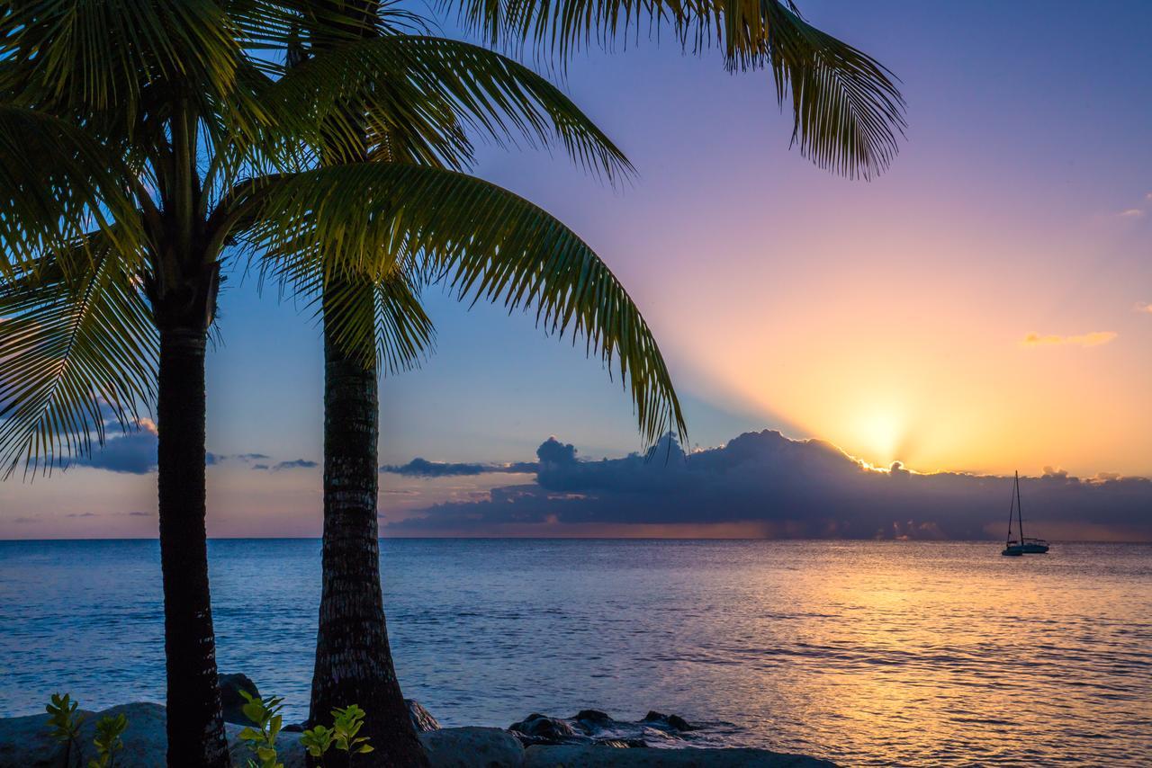 Coral Reef Club Hotel Saint James Bagian luar foto